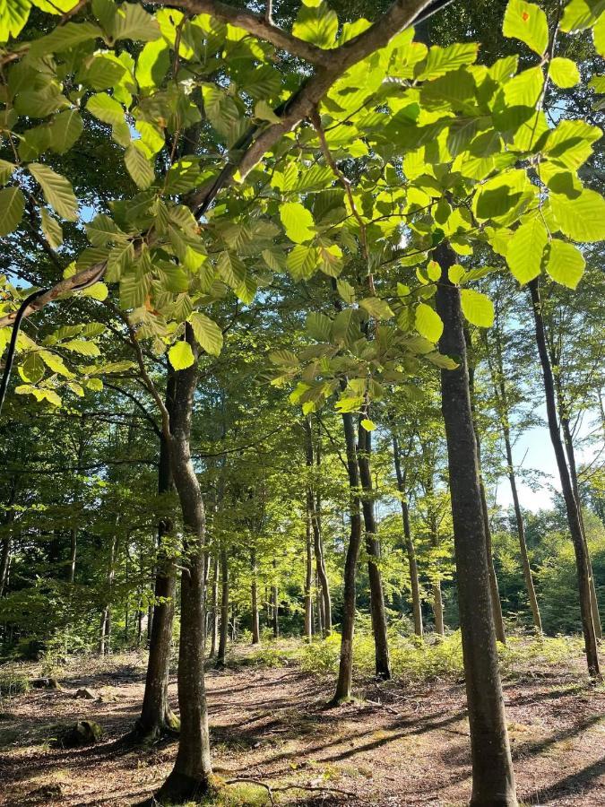 Naturglamping Kristianstad Ngoại thất bức ảnh