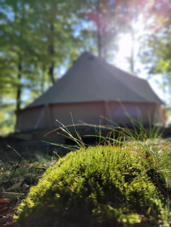 Naturglamping Kristianstad Ngoại thất bức ảnh